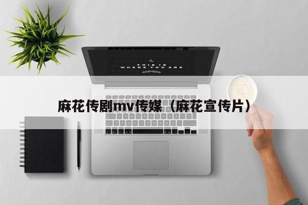 麻花传剧mv传媒（麻花宣传片）